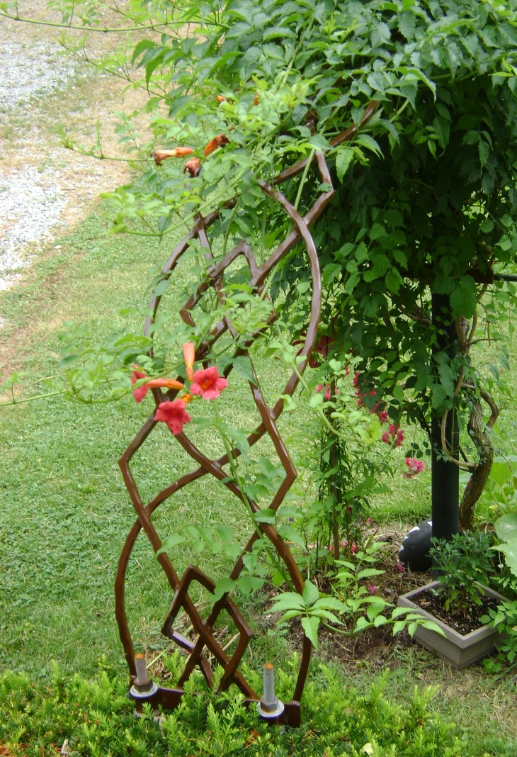 Arch with Climbing Vines